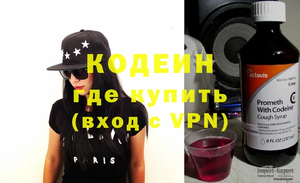 сатива Бородино