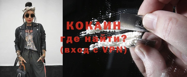 сатива Бородино