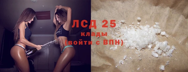 сатива Бородино