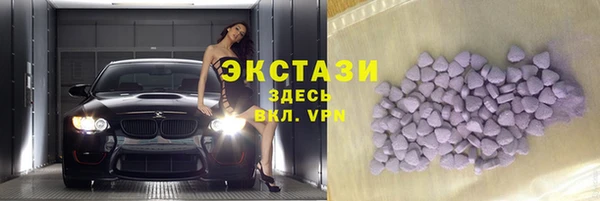 сатива Бородино