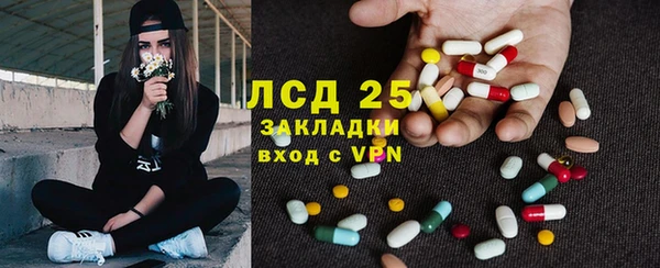 сатива Бородино