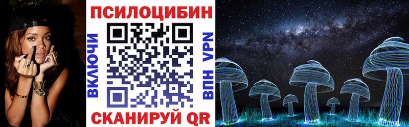 KRAKEN tor  Вичуга  Псилоцибиновые грибы мицелий 