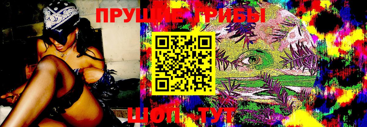 ГАШ Вичуга